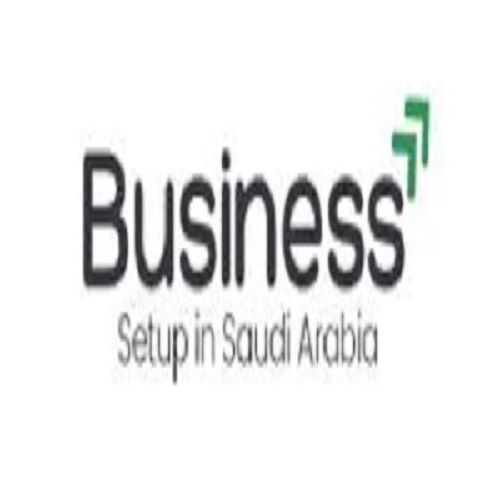 businesssetup